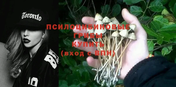 альфа пвп Ладушкин